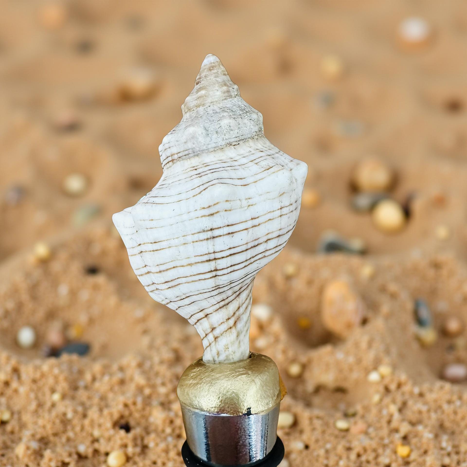 Striped Whelk Shell Wine Stopper – Gold Trim - Thumbnail 2