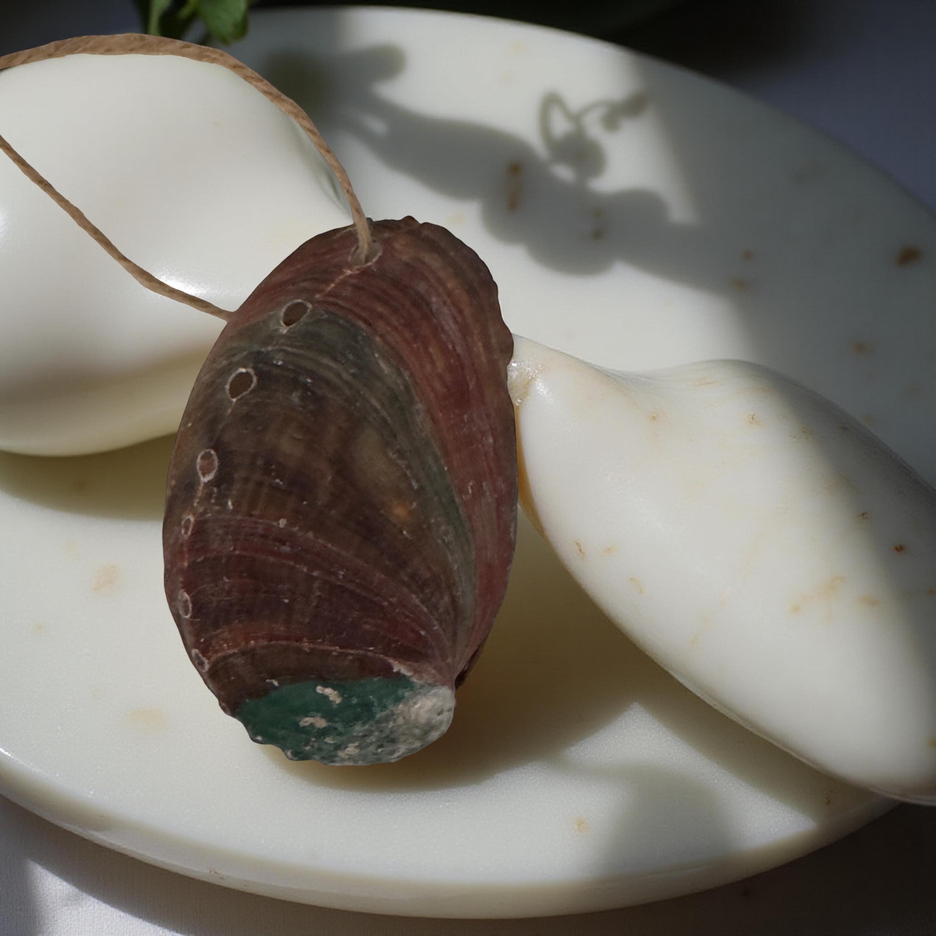 Iridescent Abalone Shell Ornament | Coastal Christmas Décor | Natural Seashell Ornament Handmade - Thumbnail 6