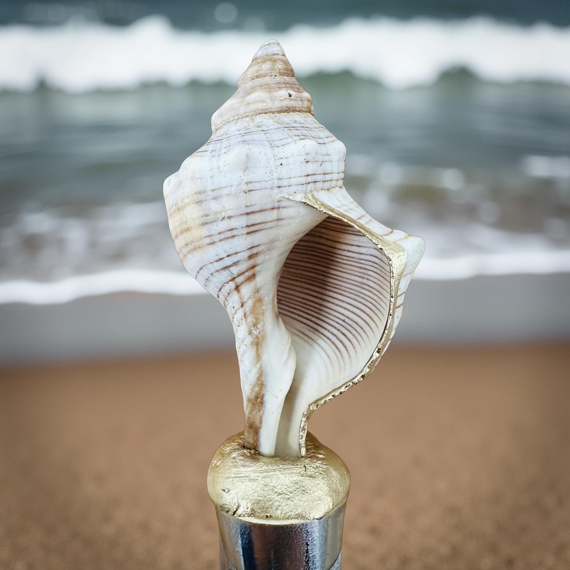 Striped Whelk Shell Wine Stopper – Gold Trim - Thumbnail 3