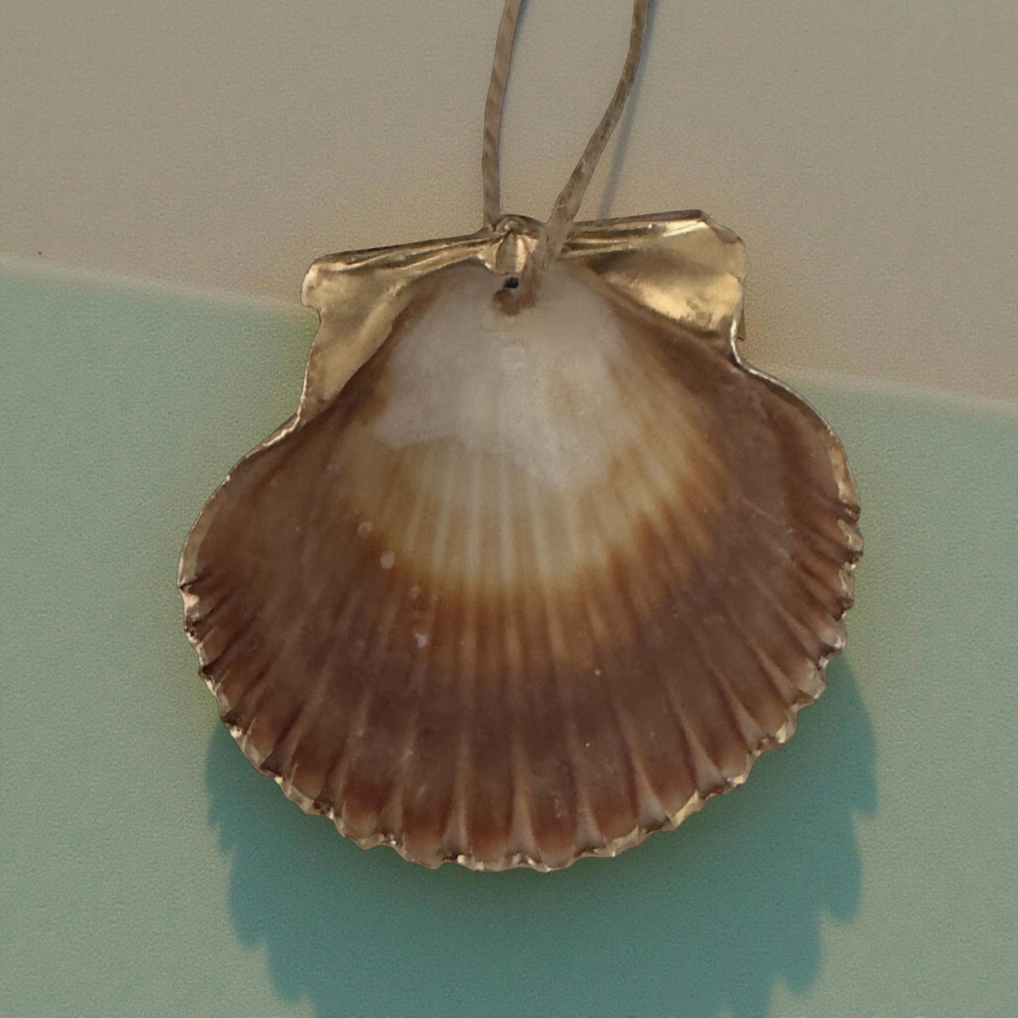 Natural Scallop Shell Ornament – Jute Hanger