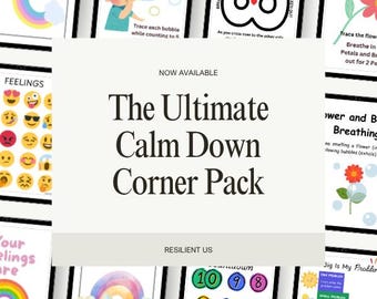 Printable Calm Down Kit for Kids | Emotional Regulation Posters | SEL Activities