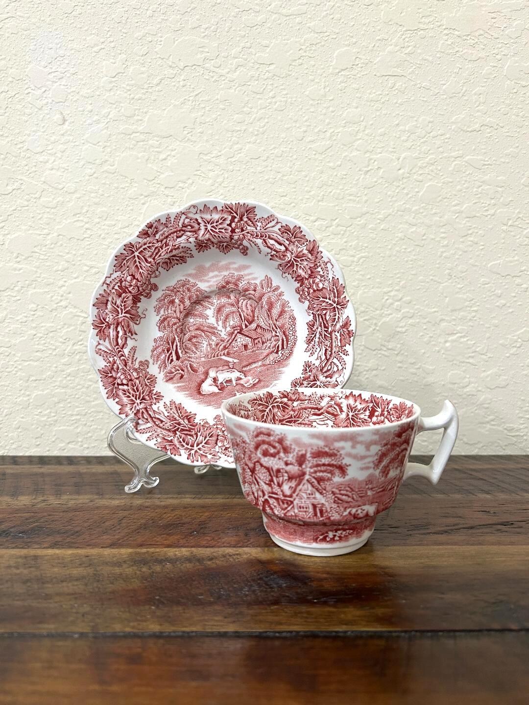 Booths British Scenery Tea Cup & Saucer-vintage British Scenery Pink ...
