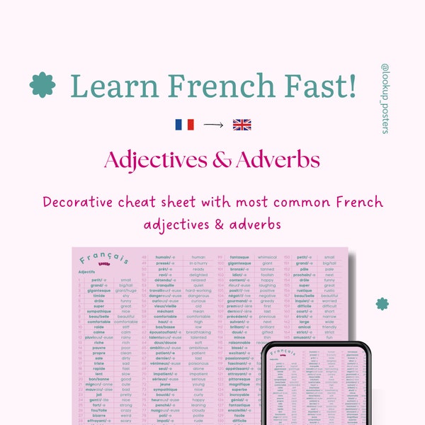 Pink Turquoise French Cheat Sheet Poster - Most Common French Adjectives & Adverbs - Instant Download