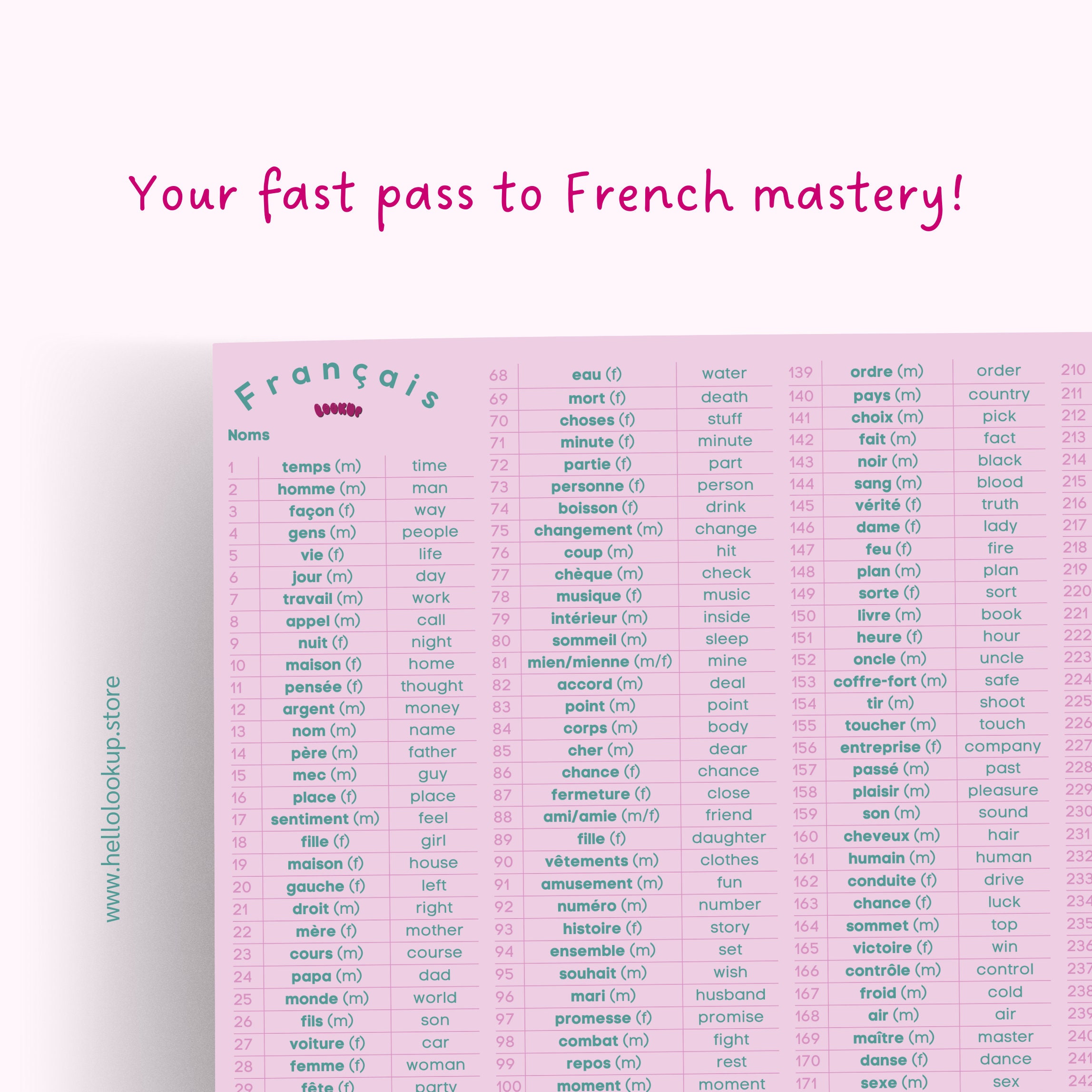 Pink French Cheat Sheet Poster Bundle - Most Common French Verbs, Nouns