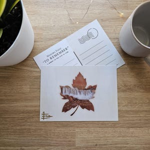 4 sur 5 Carte postale vintage souvenir Chutes du Niagara