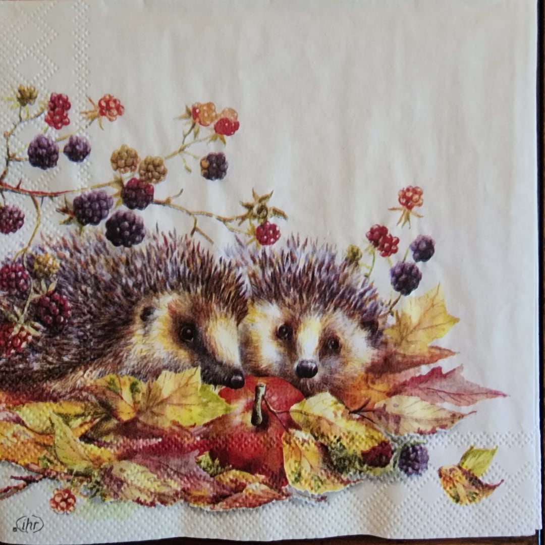 Decoupage Paper Napkins hedgehog Friends Paper Napkins, Great for