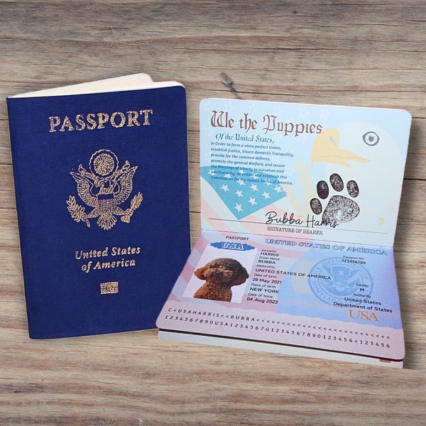 Passport Etsy