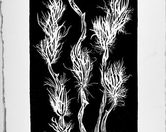 STAMPA ORIGINALE di Jonas Thaler. Erba di Hilaria rigida. Prova d'artista. Stampa linoleum su carta cotone A4 fatta a mano. 18x21 cm. 2020