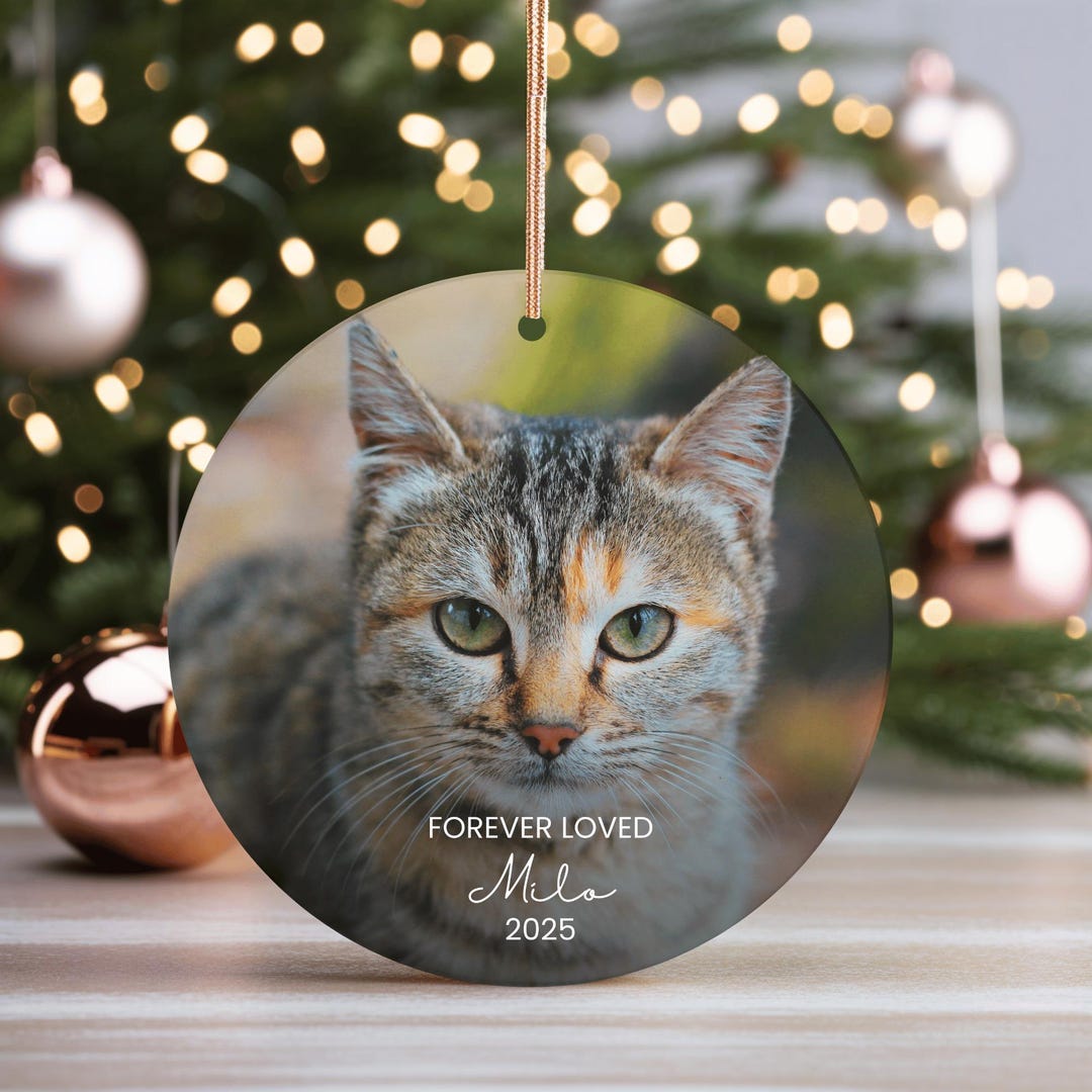Custom Forever Loved Dog Ornament, Cat Remembrance Gift, Pet Memorial ...
