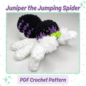 Juniper the Jumping Spider - Digital PDF Crochet Pattern - cute, amigurumi, plushie