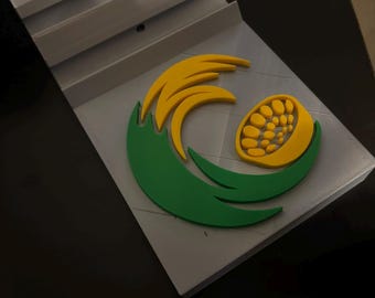 SHS Steel Band Senior Gifts