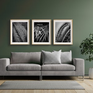 Digital Wall Art, Tropical Wall Art Prints, Set of 3, Floral Print, Palm Tree, Palm Prints, Digital Photos, Trendy Wall Art, B&W Prints