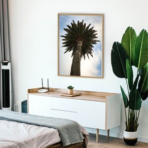 Palm Tree Wall Art, Digital Wall Art, Beach, Tropical, Beach Photos, Digital Photos, Trendy Wall Art, Coastal Design, Digital Download