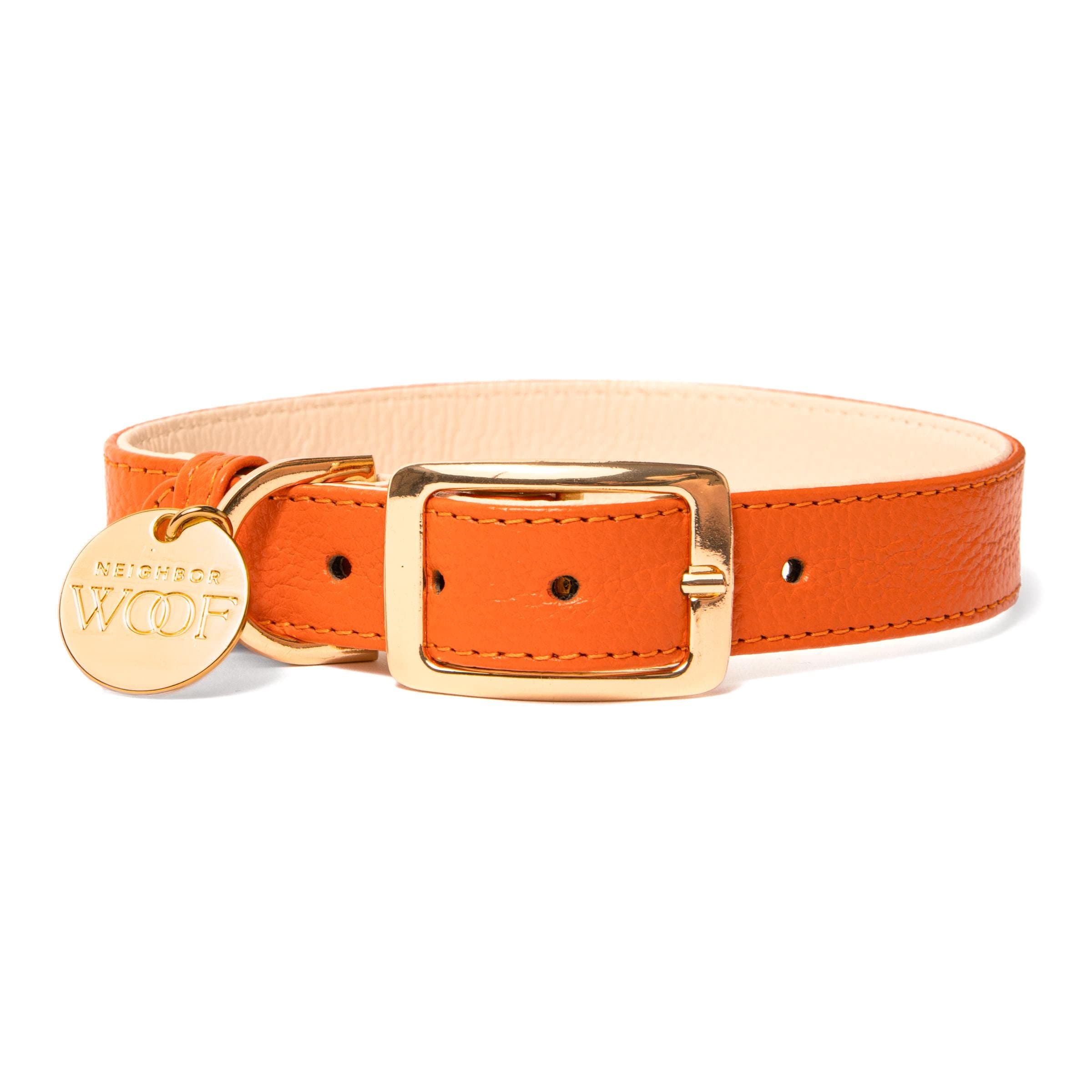 hermes cat collar