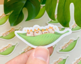 リーフバットボート