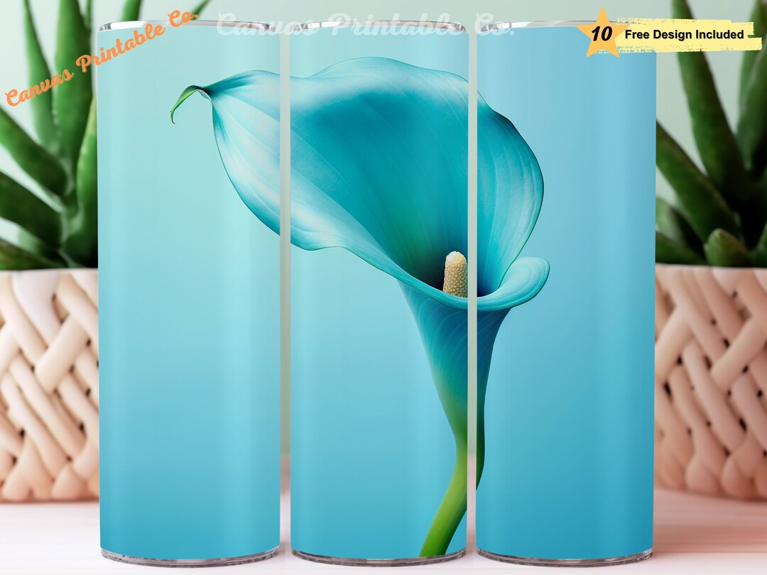 Lily♡　 Van Zyverden Lily Combo Stargazer & Expression Bulb Part Sun