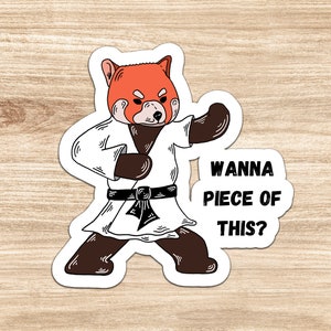 Panda rojo kárate