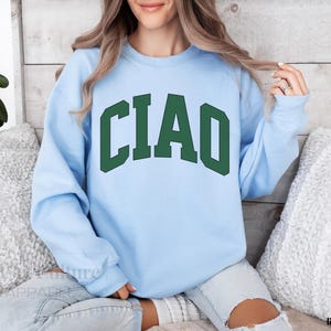 May include: Light blue sweatshirt with the word "CIAO" in green letters.