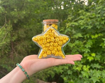 Super Star Origami Jar