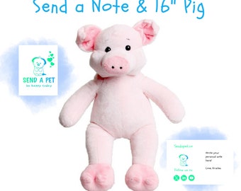 16" Pink Pig Stuffed Animal Personalized Gift and Care Packages Send a Hug Stuffed Animal  Plus Gift Personalized Note Pig Plushie