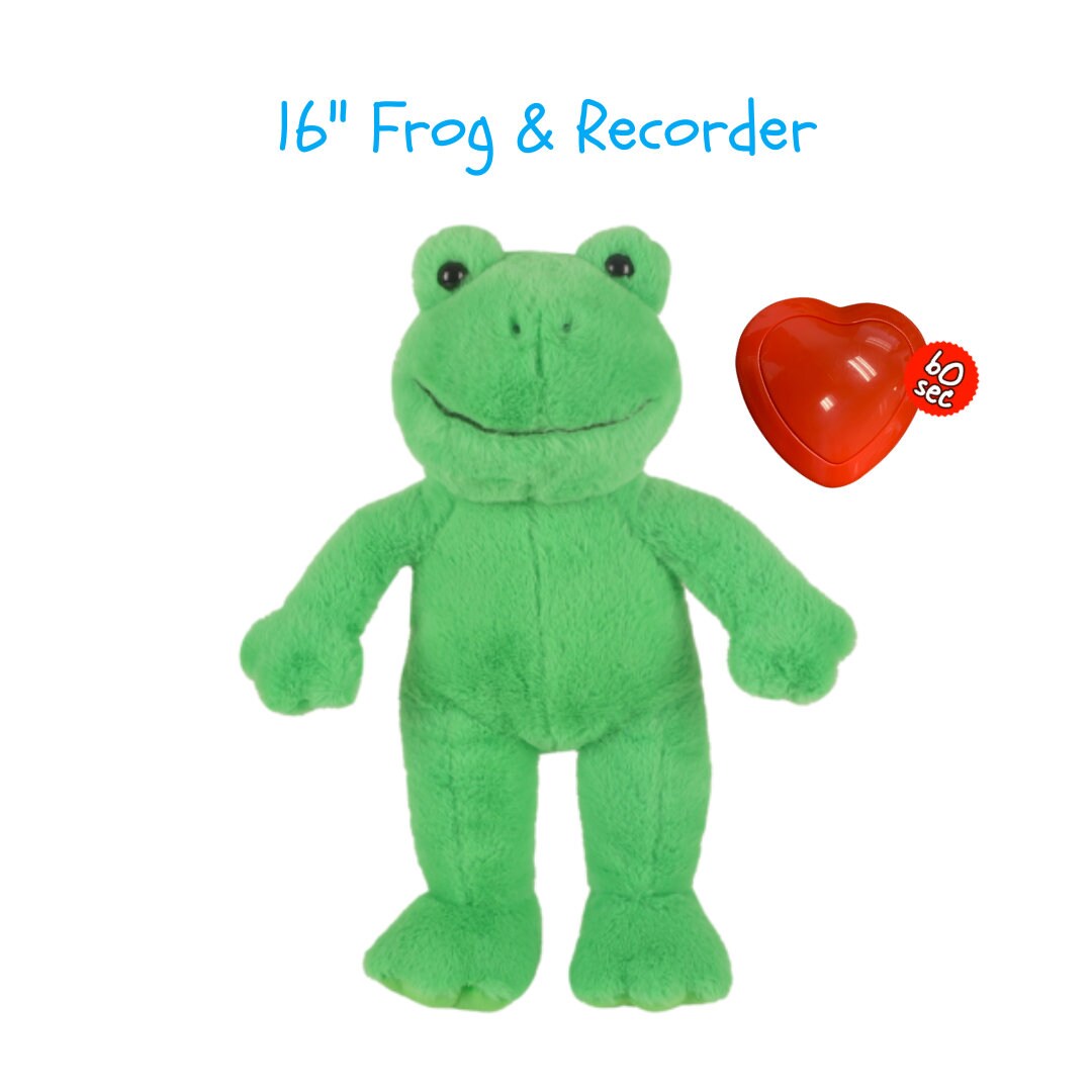 16 Recordable Green Frog Plushie Stuffed Animal Plushie 60 Second Voice Recorder Recordable Bear