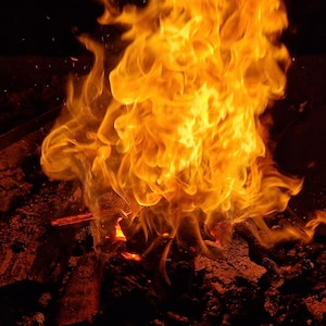 May include: A close-up shot of a vibrant fire with bright orange and yellow flames. The flames are rising from a bed of dark, charred wood and embers, creating a warm and intense visual.