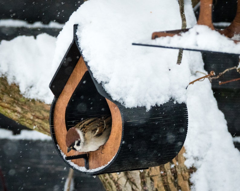 Vogelhaus Modell Teardrop Garten, handgemachtes Geschenk für Vogelliebhaber Gartendekor aus Holz Teil montiert. Bild 3