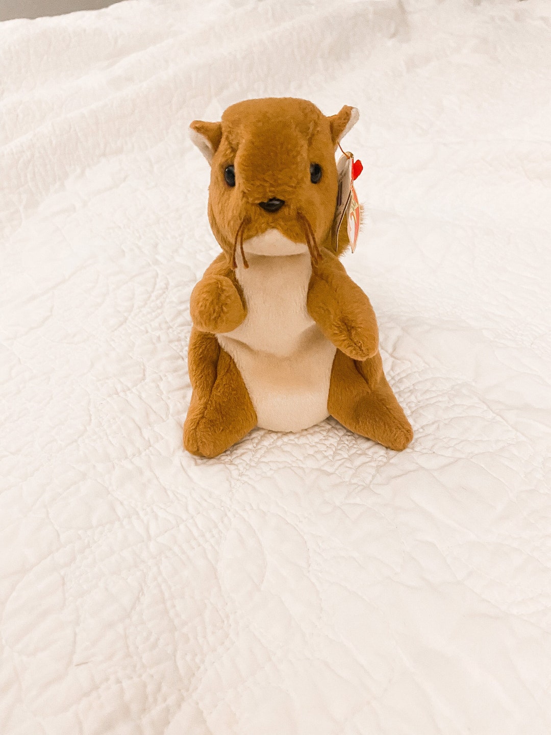 RARE Nuts Beanie Baby PVC Pellets. Etsy