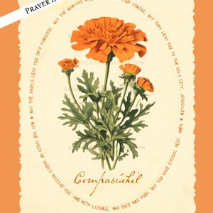 traditional catholic halloween decor,  all souls day decor, vintage marigold wall art for christian halloween with all souls day prayer, cempasuchil flor de muertos para dia de los muertos altar