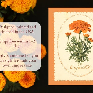 traditional catholic halloween decor,  all souls day decor, vintage marigold wall art for christian halloween with all souls day prayer, cempasuchil flor de muertos para dia de los muertos altar