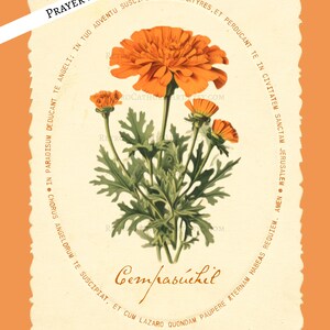 traditional catholic halloween decor,  all souls day decor, vintage marigold wall art for christian halloween with all souls day prayer, cempasuchil flor de muertos para dia de los muertos altar