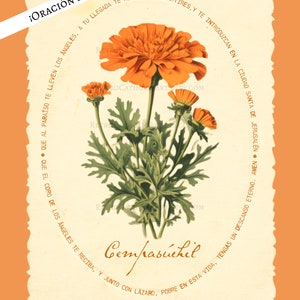 traditional catholic halloween decor,  all souls day decor, vintage marigold wall art for christian halloween with all souls day prayer, cempasuchil flor de muertos para dia de los muertos altar