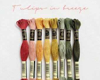 Six Strand Embroidery Threads, 8 Skeins Floss, Tulips In Breeze, Use DMC Code, 100% Cotton Floss, Embroidery & Cross Stitch for Beginners