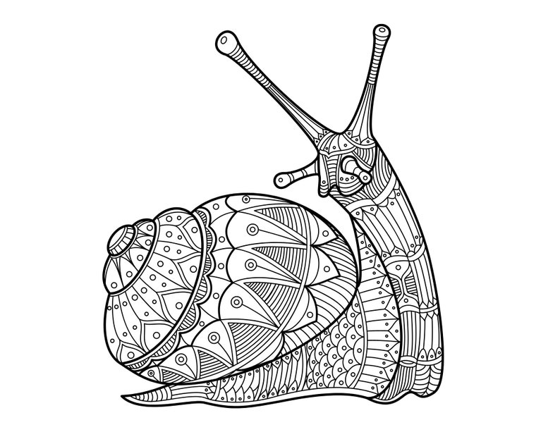 Printable Garden Colouring Pages Etsy