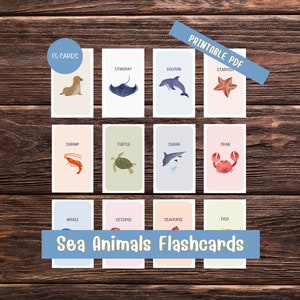 15 Sea Animals Flashcards, Animal Flash cards, Montessori, Digital print, Educational Printable Cards, Ocean Flashcards, INSTANT DOWNLOAD