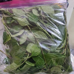 Fèy vèvenn, 1 bolsa imagen 4