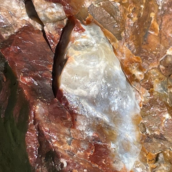 Opalized rainbow petrified wood - 8-lb California “opal”, agate, jasper, quartz palm tree araucaria fossil