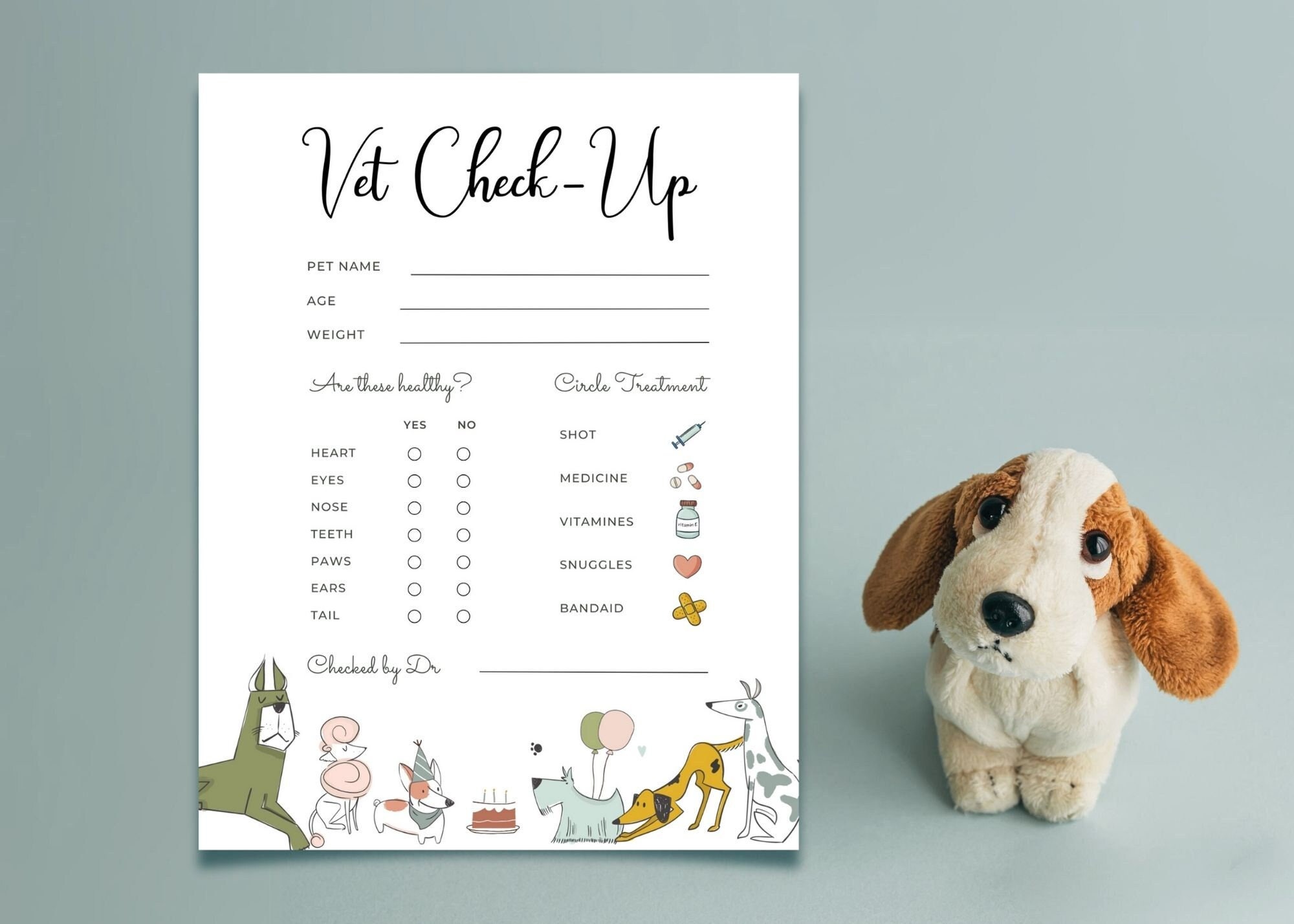 Vet Check Up