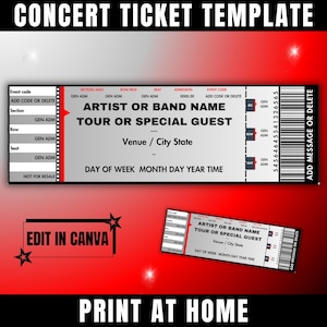 Editable Concert Ticket, Canva Template, DIY Printable Concert Ticket Gift for Concert Fans