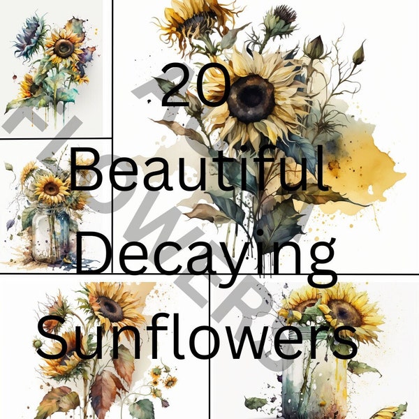 Watercolor Floral Sunflowers Clipart - Summer flowers, Fall Flowers, PNG, Commercial Use of Enchanting Life of Decaying Sunflowers Beauty