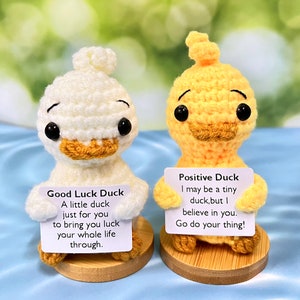May include: Two crocheted duck plushies holding signs with positive messages. The white duck says "Good Luck Duck" and the yellow duck says "Positive Duck".
