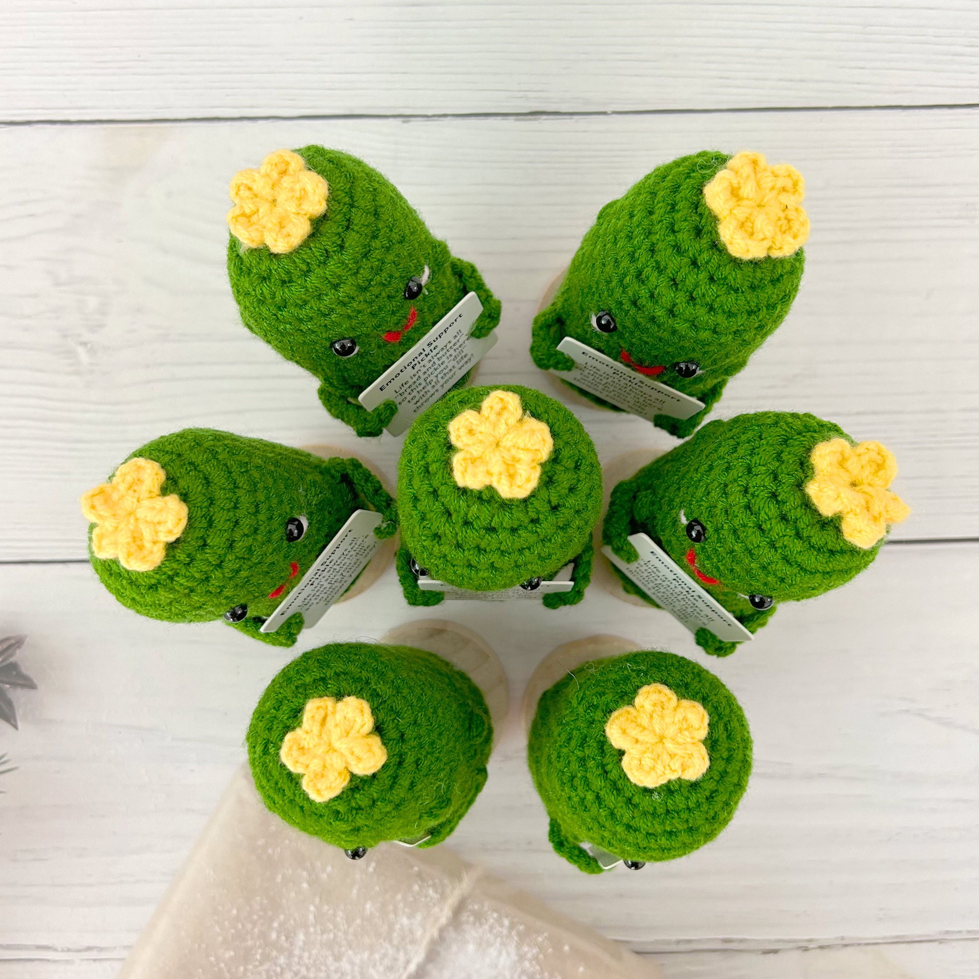 Pickle Crochet Pattern – MadebyJody666