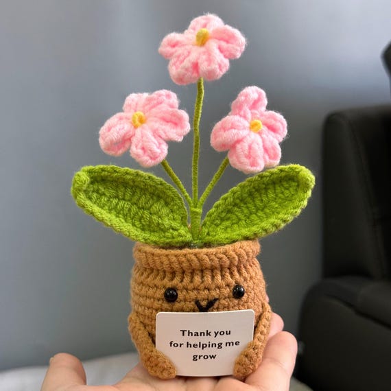 Handgemaakte haak vergeet mij niet bloemen met knuffelend hart, emotionele steun potplant, bedankje voor moeder/vader/leraar/vrienden/team   Nederland