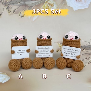 Pene de crochet divertido - Regalo divertido para adultos - Pene amigurumi de crochet - Regalo para novio/esposo - Regalo de aniversario, Pene positivo para Navidad 3PCS Set