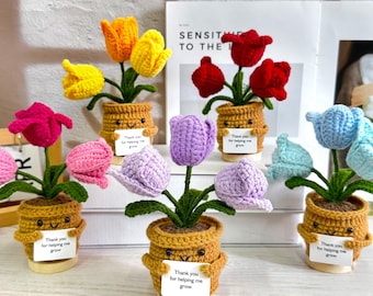 Crochet Flower Pot Tulip,Personalized Gift for Mom, Friends,Birthday Gift for teacher,Home Decoration, Thanksgiving Gift, Xmas Gift