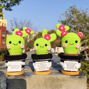 May include: Three crocheted cactus plants in black and white striped pots with wooden bases. Each cactus has a pink flower and a smiling face. The pots have inspirational messages: "Life would succ without you!" "Emotional Support Plant Life can be tough sometimes, but remember so are you!" "Sometimes life can be tough. But always remember so are you!"