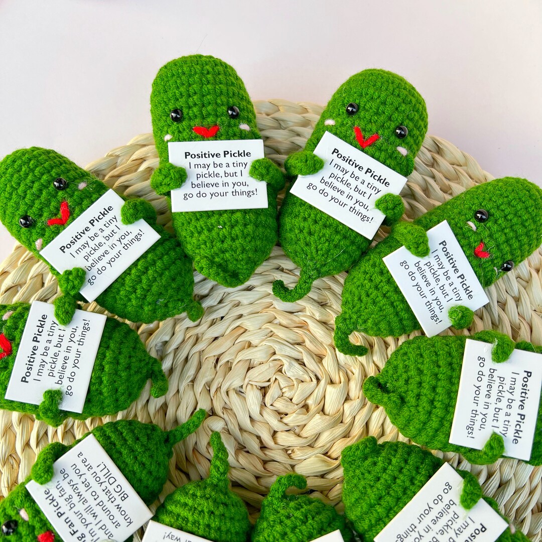 Bulk Sale Crochet Pineapplemental Health Gift for -  in 2023