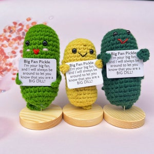 Sottaceti lavorati a mano all'uncinetto con basi, sottaceti Big Fan, peluche alimentare fatto a mano all'uncinetto con biglietti positivi, sottaceti personalizzati, regali per la festa della mamma
