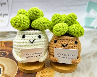 Cactus/plantes succulentes au crochet faits main mignons,Légume au crochet personnalisé,La vie serait belle sans vous,Amigurumi succulentes,Cadeaux pour la Saint-Valentin
