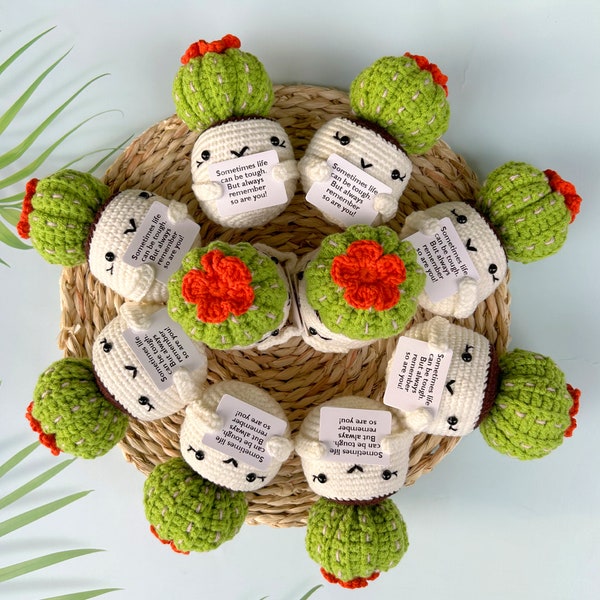 Bulk Sale Handmade Crochet Cactus-Mental Health Gift for Family/Friends/Team-Cactus Amigurumi-Mother's Day Gifts-DIY Crochet Accessories